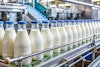 Dairy Food & Beverage Innovations Report